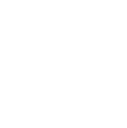 Boyd Industries logo